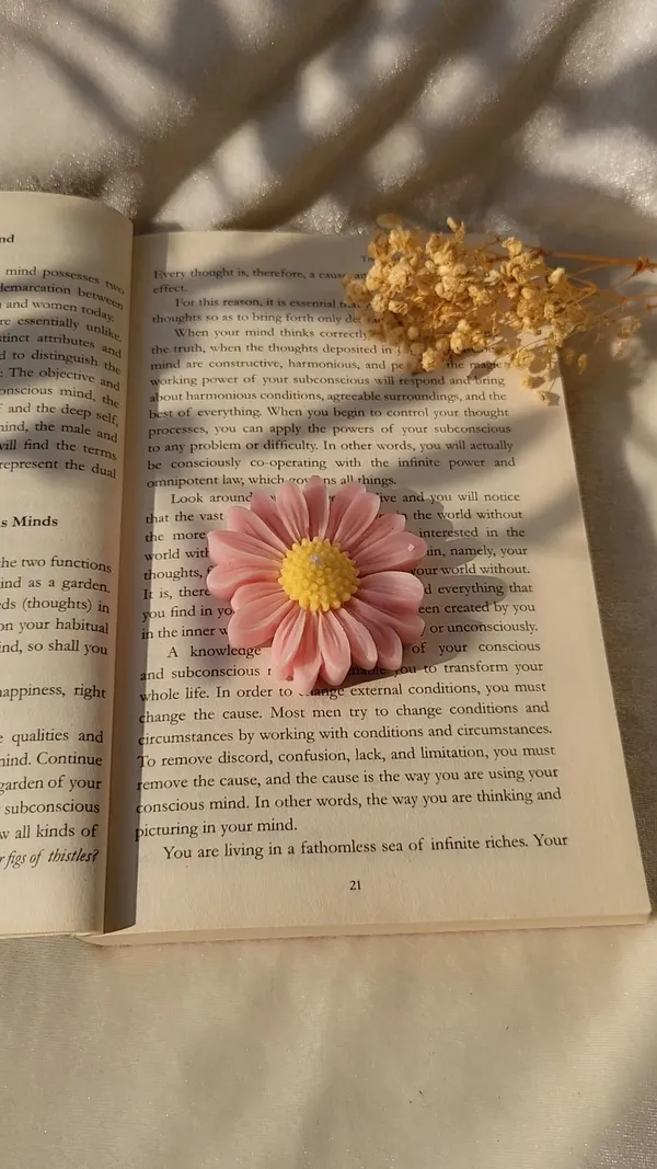 Pink_Daisy_Floral_Decorative_Set