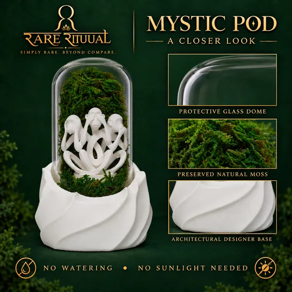 Polymer_Glass_Dome_White_Three_Monkeys_Preserved_Moss_Decor