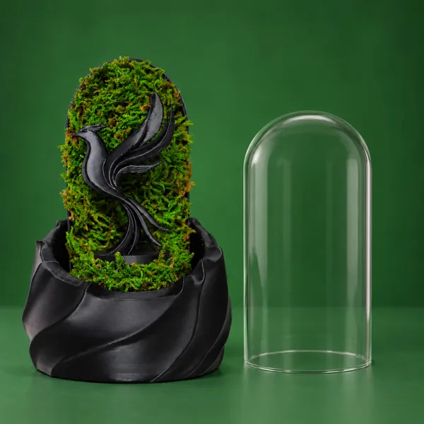 Polymer_Glass_Dome_Black_Phoenix_Preserved_Moss_Decor
