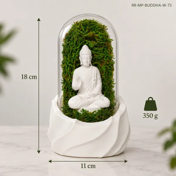 Polymer_Glass_Dome_White_Buddha_Preserved_Moss_Decor