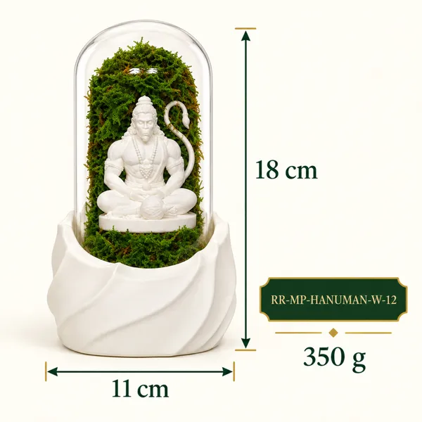 Polymer_Glass_Spiritual_Moss_Lord_Hanuman_White_For_Glass_Dome_Decor