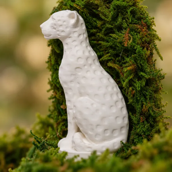 Polymer_Glass_Nature_Moss_Cheetah_White_For_Glass_Dome_Decor