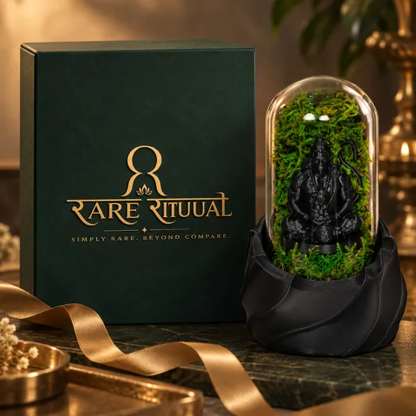 Polymer_Glass_Spiritual_Moss_Lord_Hanuman_Black_For_Glass_Dome_Decor
