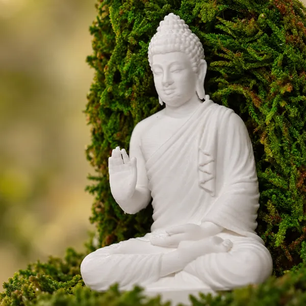 Polymer_Glass_Dome_White_Buddha_Preserved_Moss_Decor