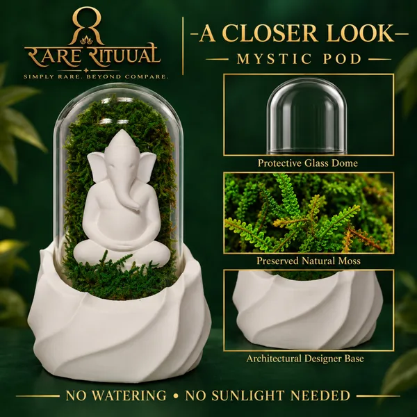 Polymer_Glass_Spiritual_Moss_Ganesha_White_For_Glass_Dome_Decor
