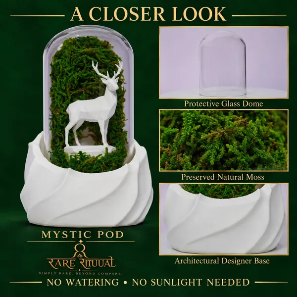 Polymer_Glass_Woodland_Moss_Deer_White_For_Glass_Dome_Decor