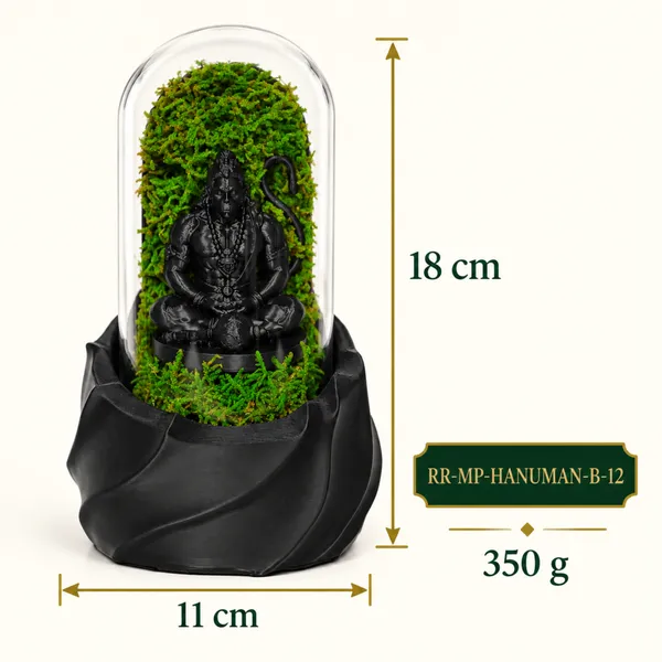Polymer_Glass_Spiritual_Moss_Lord_Hanuman_Black_For_Glass_Dome_Decor