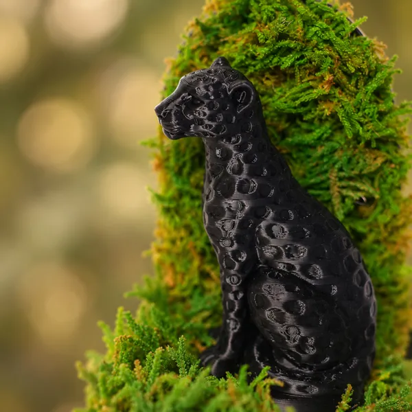 Polymer_Glass_Nature_Moss_Cheetah_Black_For_Glass_Dome_Decor