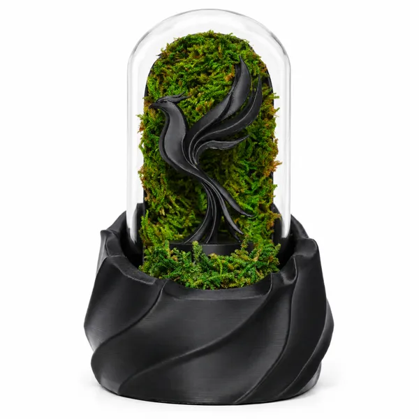 Polymer_Glass_Dome_Black_Phoenix_Preserved_Moss_Decor