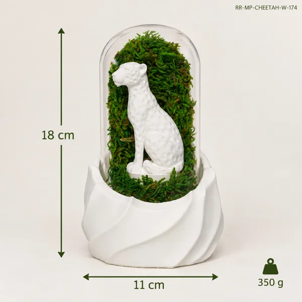 Polymer_Glass_Nature_Moss_Cheetah_White_For_Glass_Dome_Decor