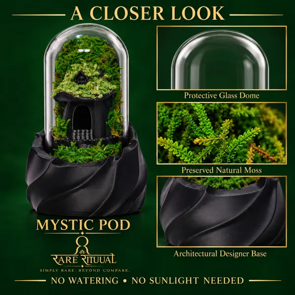 Polymer_Glass_Gothic_Moss_Miniature_House_Black_For_Glass_Dome_Decor