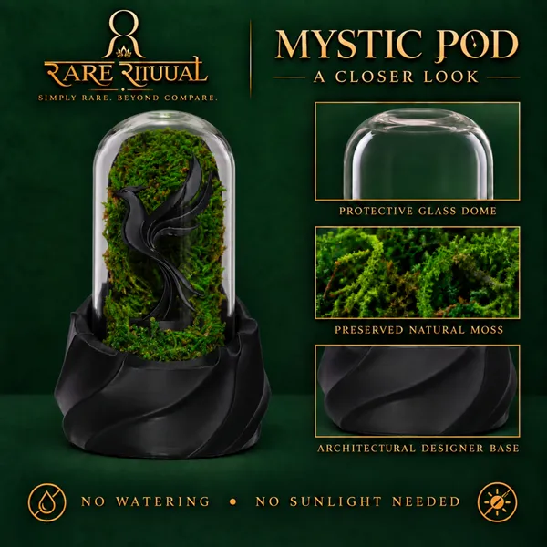 Polymer_Glass_Dome_Black_Phoenix_Preserved_Moss_Decor