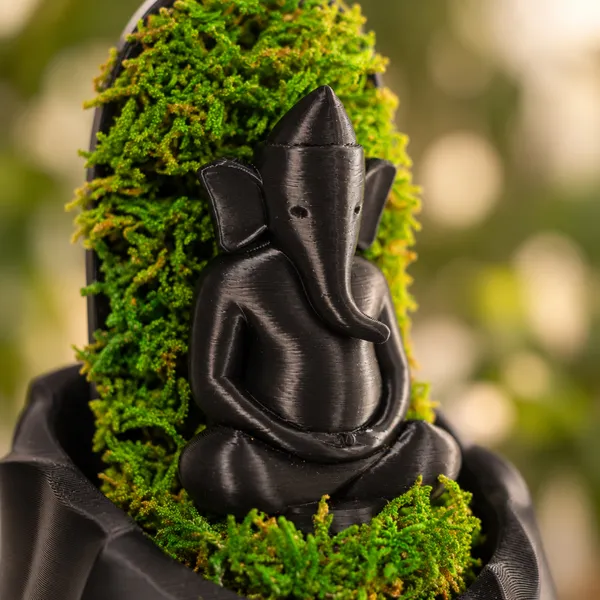 Polymer_Glass_Dome_Black_Ganesha_Preserved_Moss_Decor