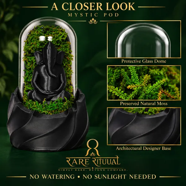 Polymer_Glass_Dome_Black_Ganesha_Preserved_Moss_Decor
