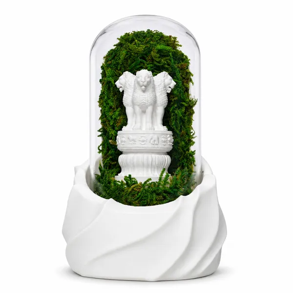 Polymer_Glass_Dome_White_Ashoka_Emblem_Preserved_Moss_Decor