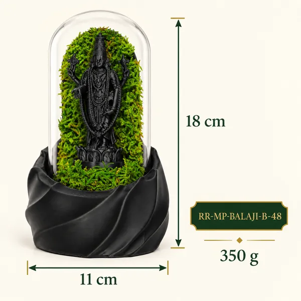 Polymer_Glass_Spiritual_Moss_Lord_Vishnu_Black_For_Glass_Dome_Decor