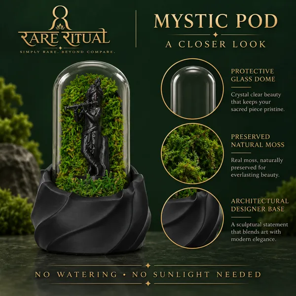Polymer_Glass_Spiritual_Moss_Krishna_Flute_Player_Black_For_Glass_Dome_Decor