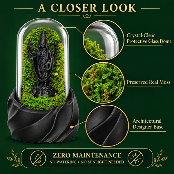 Polymer_Glass_Spiritual_Moss_Lord_Vishnu_Black_For_Glass_Dome_Decor