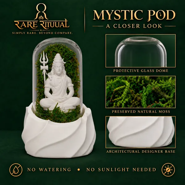 Polymer_Glass_Spiritual_Moss_Lord_Shiva_White_For_Glass_Dome_Decor