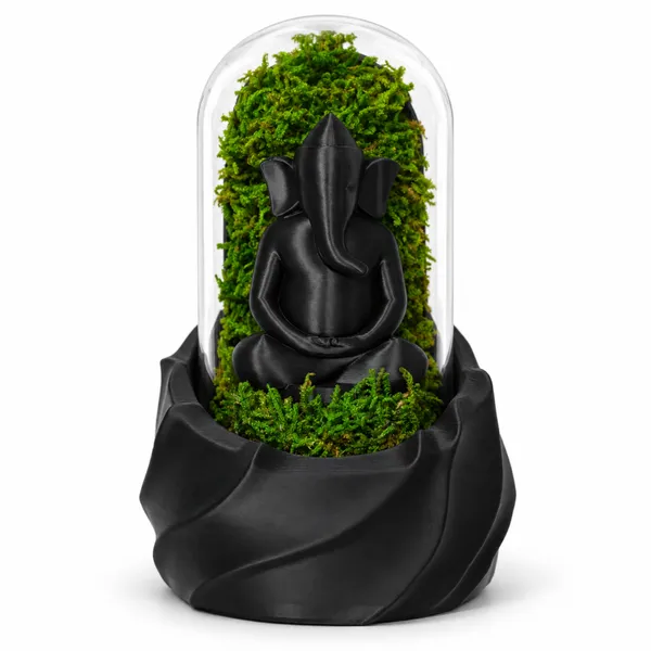 Polymer_Glass_Dome_Black_Ganesha_Preserved_Moss_Decor