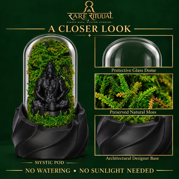 Polymer_Glass_Spiritual_Moss_Lord_Hanuman_Black_For_Glass_Dome_Decor