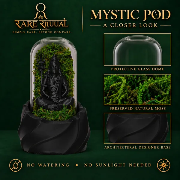 Polymer_Glass_Spiritual_Moss_Lord_Shiva_Black_For_Glass_Dome_Decor