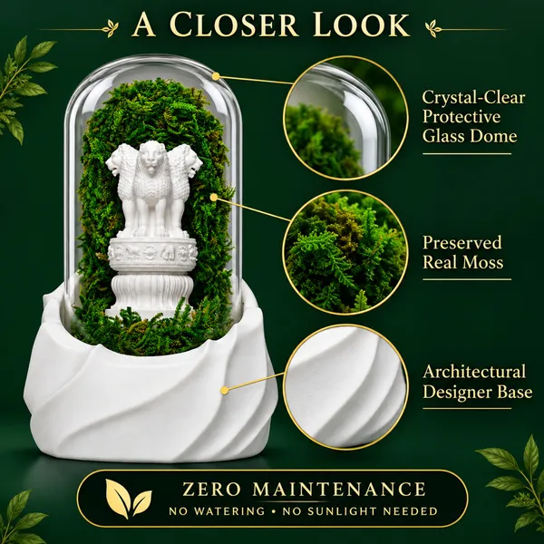 Polymer_Glass_Dome_White_Ashoka_Emblem_Preserved_Moss_Decor