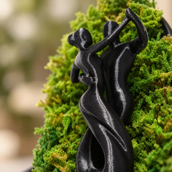 Polymer_Glass_Dome_Black_Dancing_Couple_Preserved_Moss_Decor