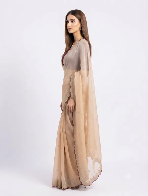 Beige_Sheer_Embellished_Saree_For_Women