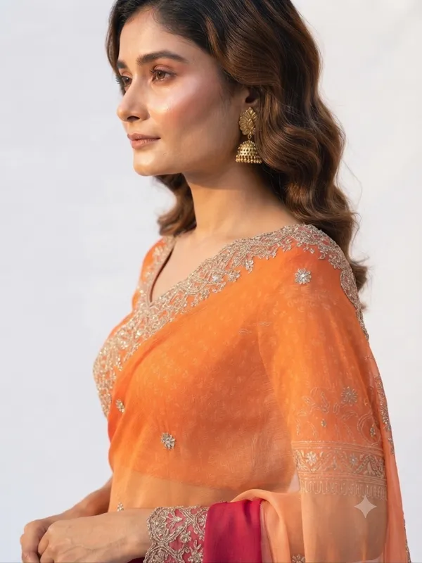 Orange_Sheer_Embroidered_Saree_for_Women