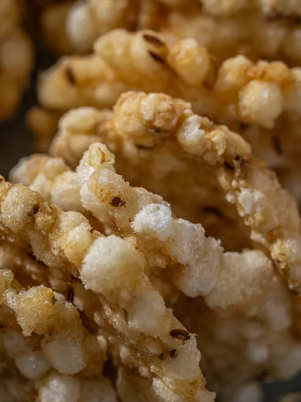 SABUDANA_PURI