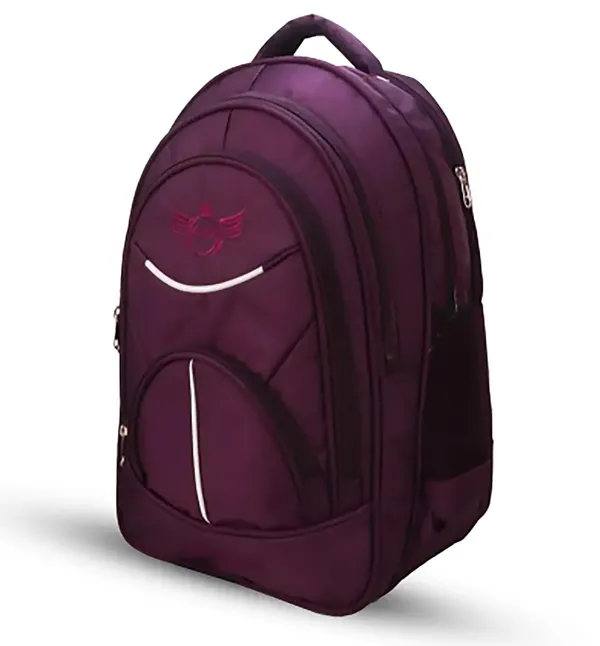 Nylon_Laptop_Travel_Backpack_50_Ltr