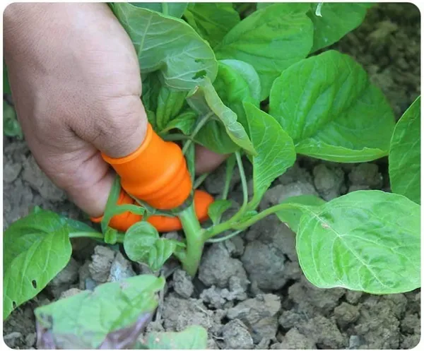 Thumb_Knife_Finger_Cutter