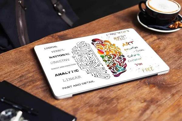 Full_Body_Panel_Laptop_Skins_Sticker_Laminated_Hd_Quality_Vinyl_Fits_Upto_15_6_Inches_Compatible_With_Dell_Lenovo_Acer_Hp_Asus_Brain_Art_Self_Adhesive