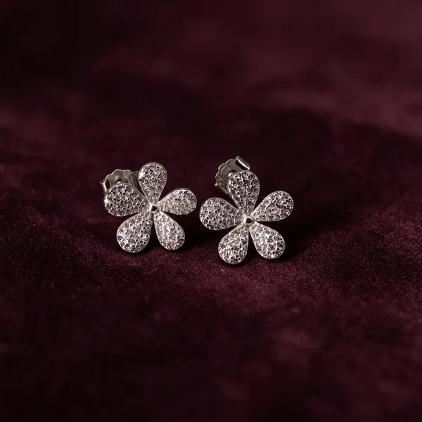 925_Silver_Women_Earring