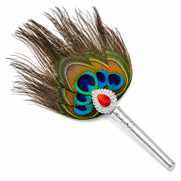Peacock_Feather_Pooja_Chamar_With_Silver_Handle