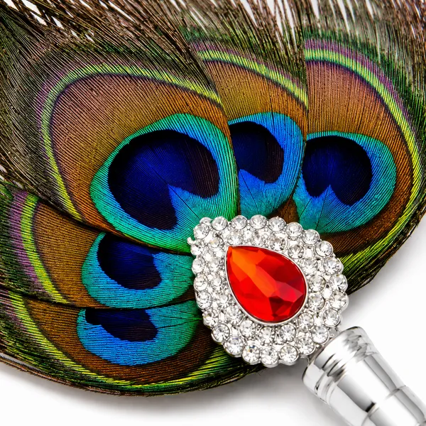 Peacock_Feather_Pooja_Chamar_With_Silver_Handle