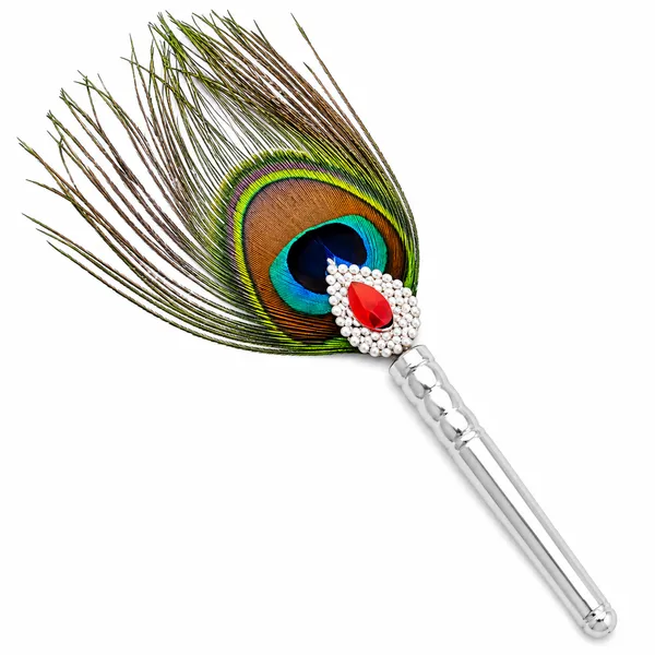 Peacock_Feather_Silver_Handle_Pooja_Chauri