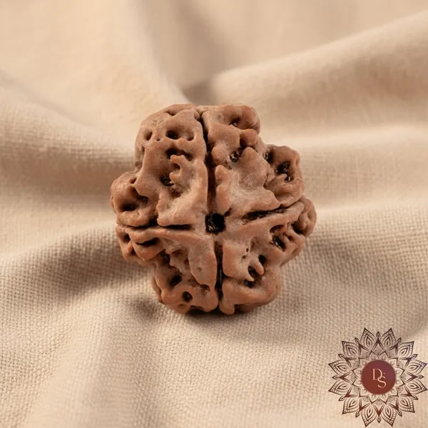 4_Mukhi_Rudraksha_Bead_(Nepali)