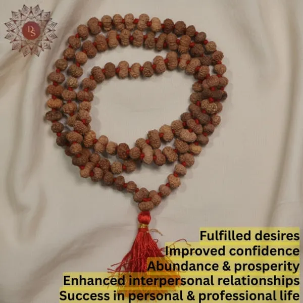 13_Mukhi_Rudraksha_Mala_(108+1_Beads)