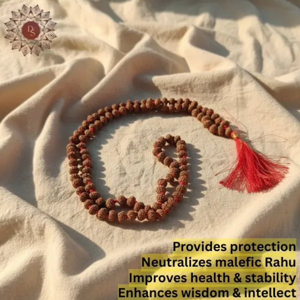 8_Mukhi_Rudraksha_Mala_(108+1_Beads)
