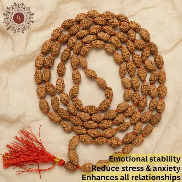 2_Mukhi_Rudraksha_Mala_(108+1_Bead)