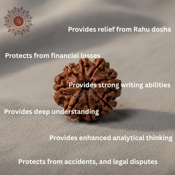 8_Mukhi_Rudraksha_Bead_(Nepali)