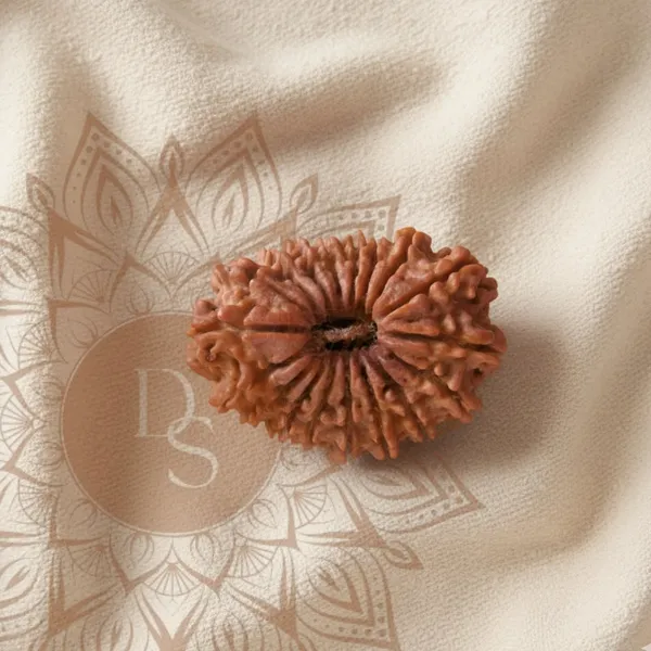 18_Mukhi_Rudraksha_Bead_(Indonesian)
