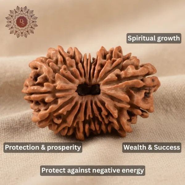 19_Mukhi_Rudraksha_Bead_(Indonesian)