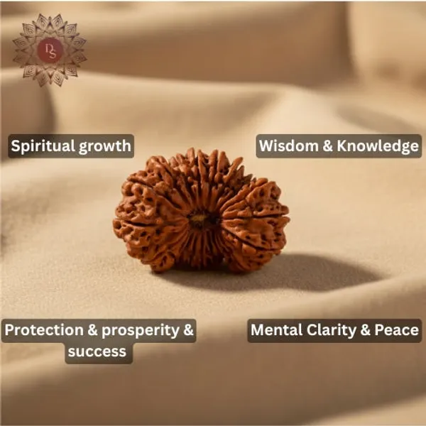 20_Mukhi_Rudraksha_Bead_(Indonesian)