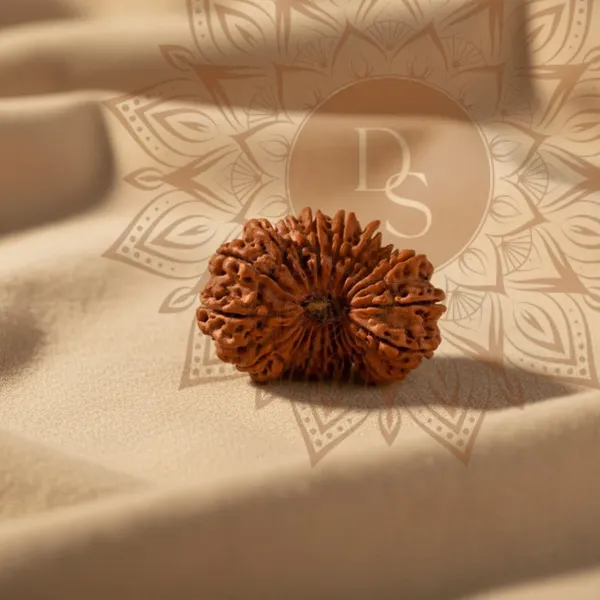 20_Mukhi_Rudraksha_Bead_(Indonesian)