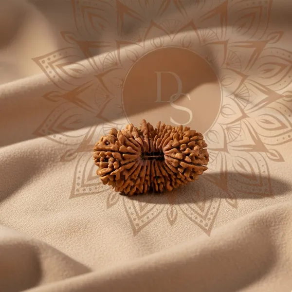 21_Mukhi_Rudraksha_Bead_(Indonesian)