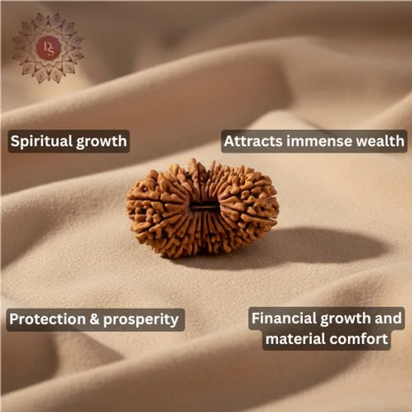 21_Mukhi_Rudraksha_Bead_(Indonesian)