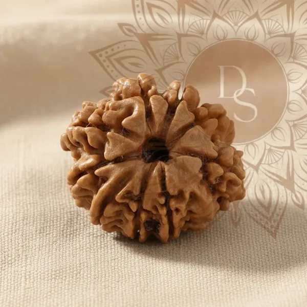 9_Mukhi_Rudraksha_Bead_(Nepali)